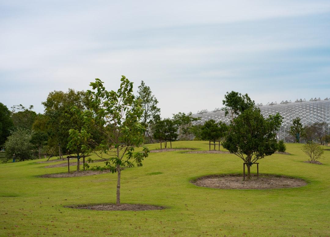 Áreas Verdes